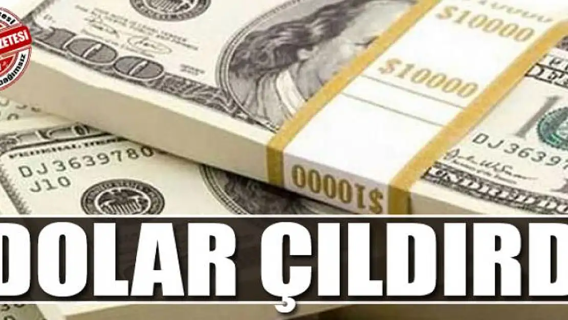 Dolar çıldırdı 