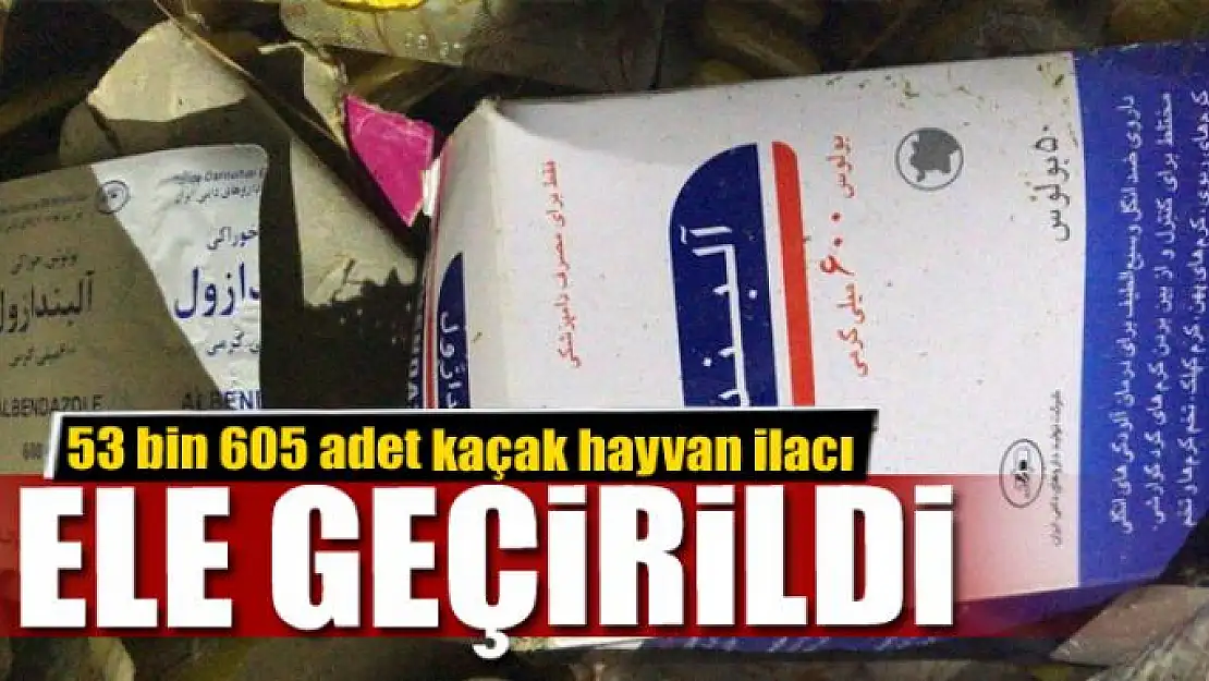 Van'da 53 bin 605 adet kaçak hayvan ilacı ele geçirildi