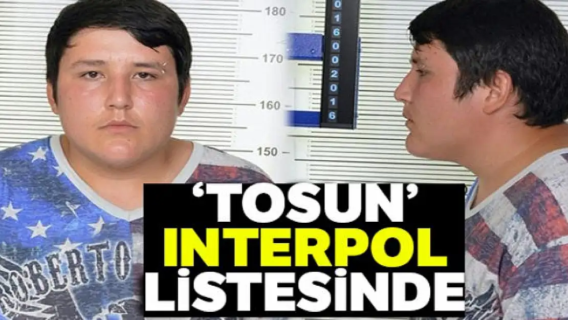 Çiftlikbank dolandırıcısı 'Tosun' Interpol listesinde