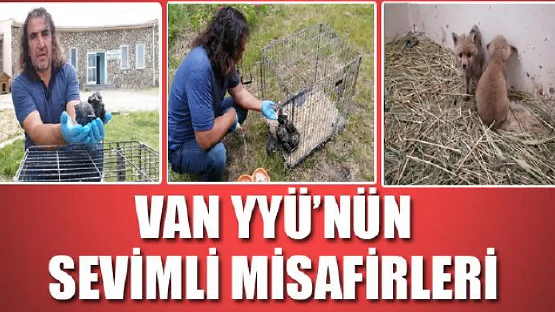 Van YYÜ'nün sevimli misafirleri