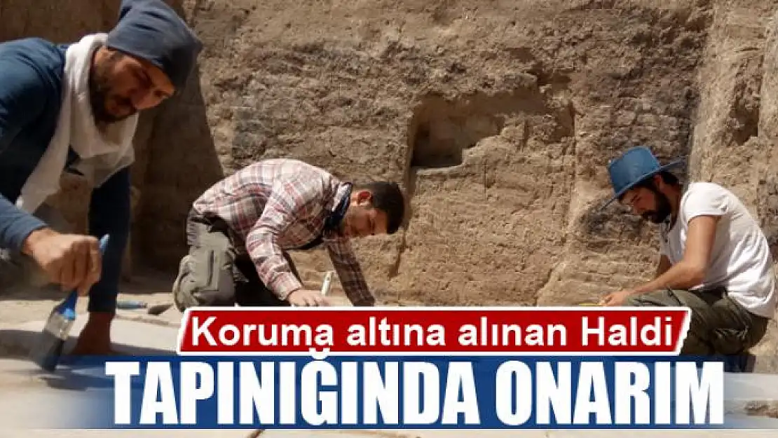 Koruma altına alınan Haldi tapınığında onarım 