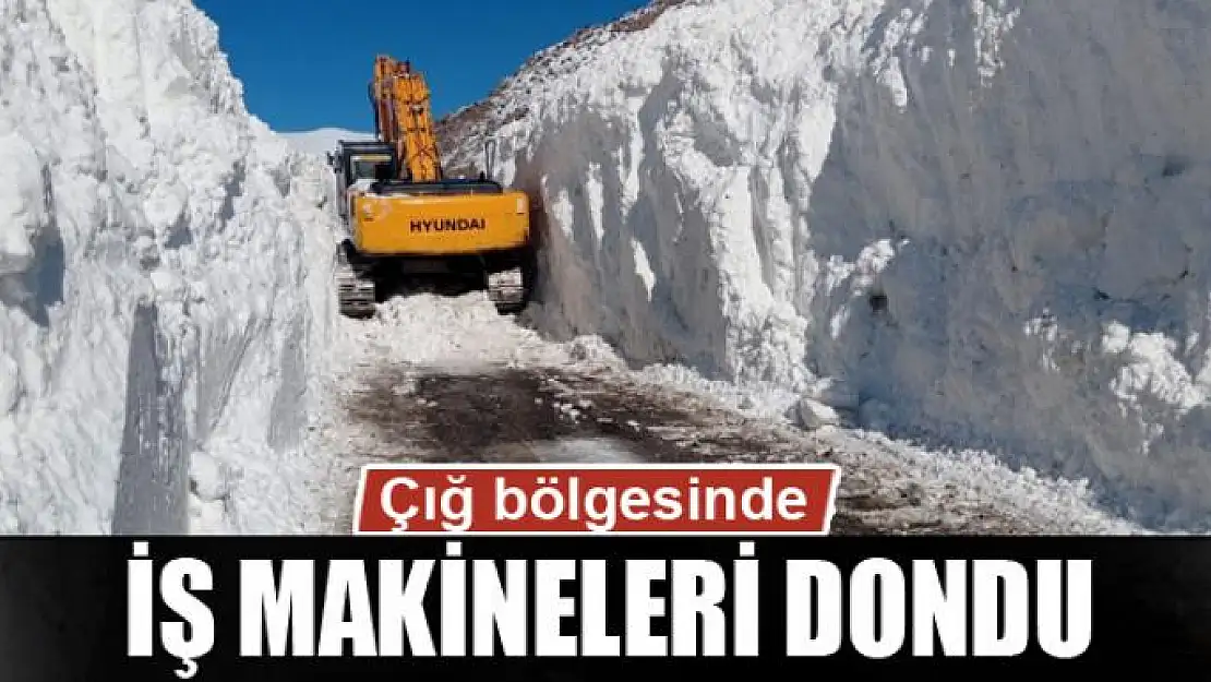 Çığ bölgesinde iş makineleri dondu