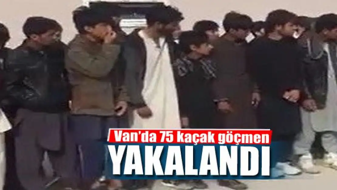 Van'da 75 kaçak göçmen yakalandı