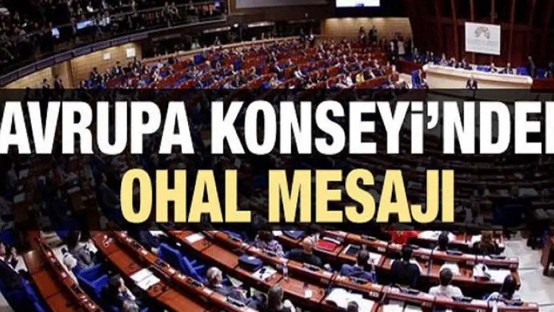 Avrupa'dan OHAL mesajı