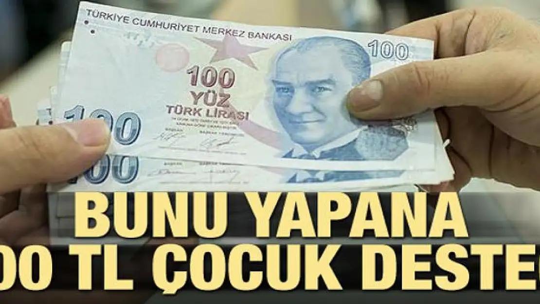 Bunu yapana 400 lira çocuk desteği