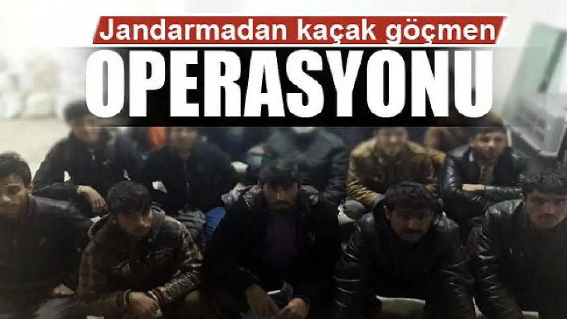 Jandarmadan kaçak göçmen operasyonu