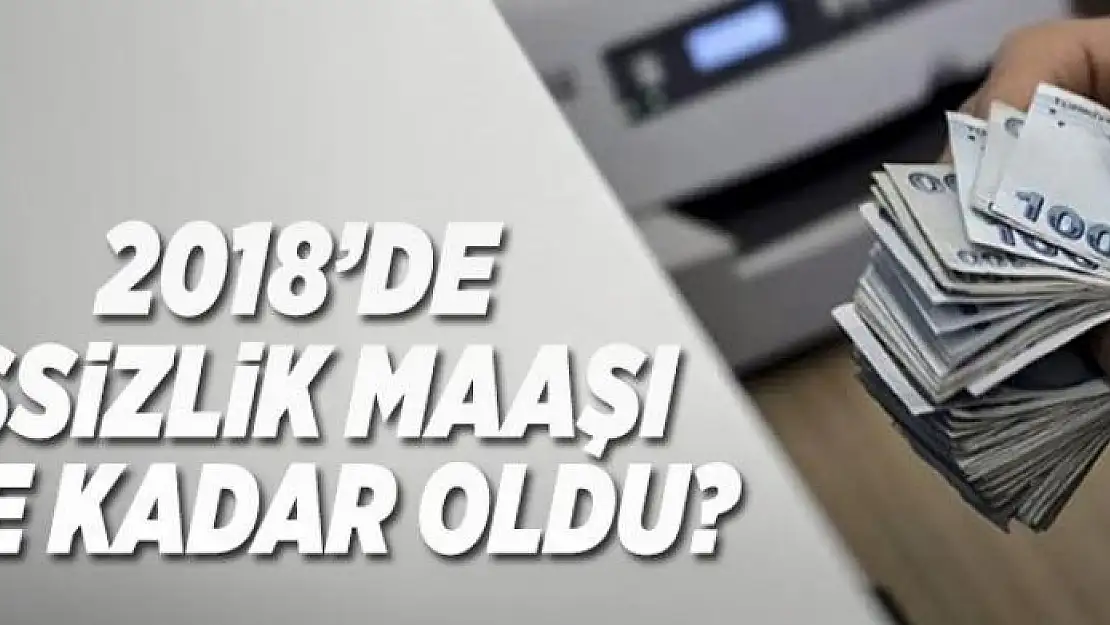 İşsizlik maaşı ne kadar oldu? - 2018 işsizlik maaşı .