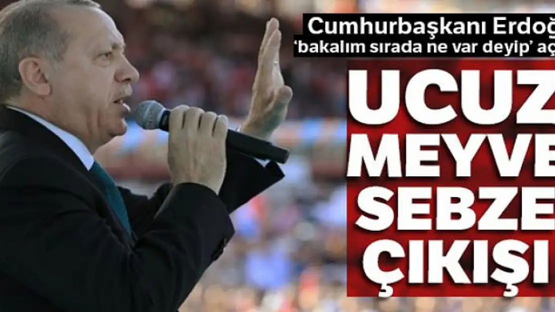 Cumhurbaşkanı Erdoğan'dan Kastamonu'da önemli açıklamalar