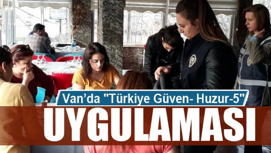 Van'da 'Türkiye Güven- Huzur-5' uygulaması