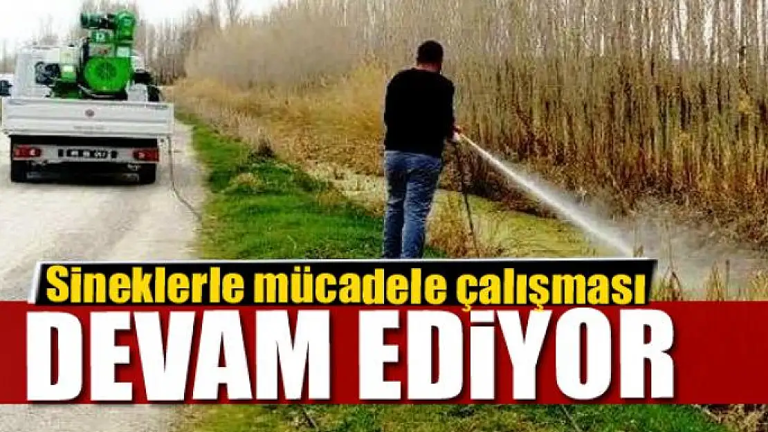 Erciş Belediyesinden sineklerle mücadele çalışması