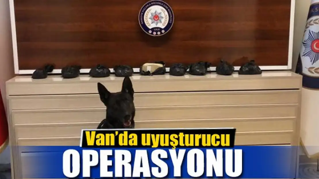 Van'da uyuşturucu operasyonu