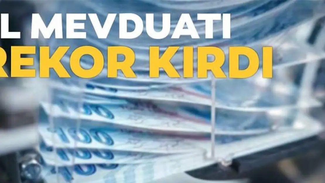 TL mevduatı rekor kırdı