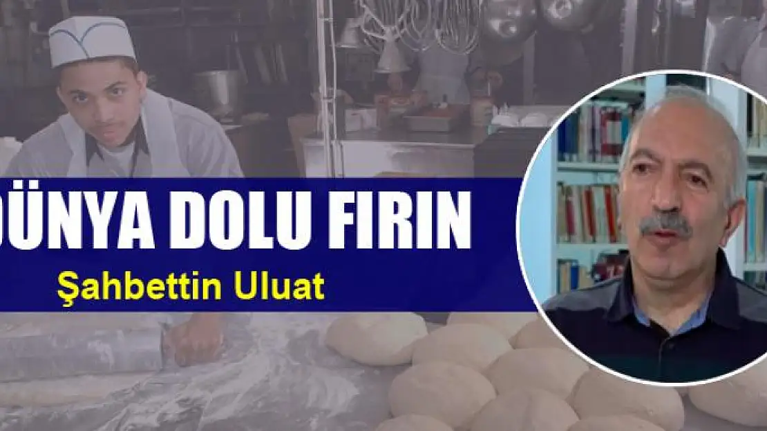 DÜNYA DOLU FIRIN