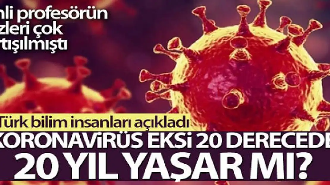 Türk bilim insanlarından Çinli profesörün, 'Virüs eksi 20 derecede 20 yıl hayatta kalıyor' sözlerine tepki