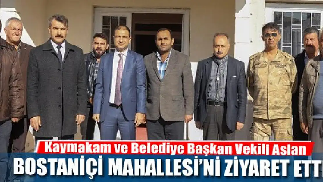 Başkan Vekili Aslan, Bostaniçi Mahallesi'nde incelemelerde bulundu