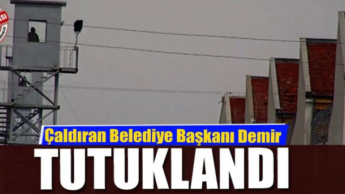 Çaldıran Belediye Başkanı Demir tutuklandı