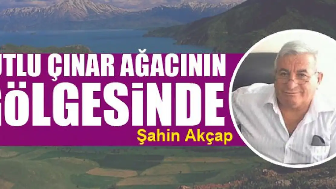 Kutlu çınar ağacının gölgesinde