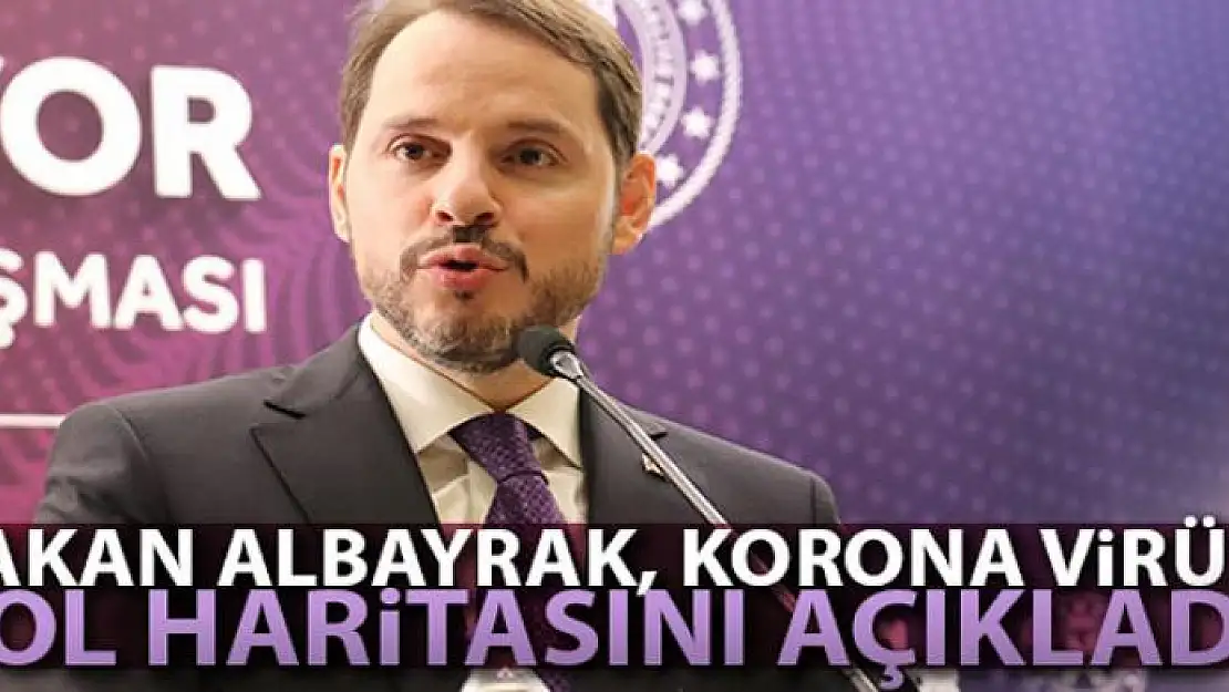 Hazine ve Maliye Bakanı Albayrak'tan önemli açıklamalar