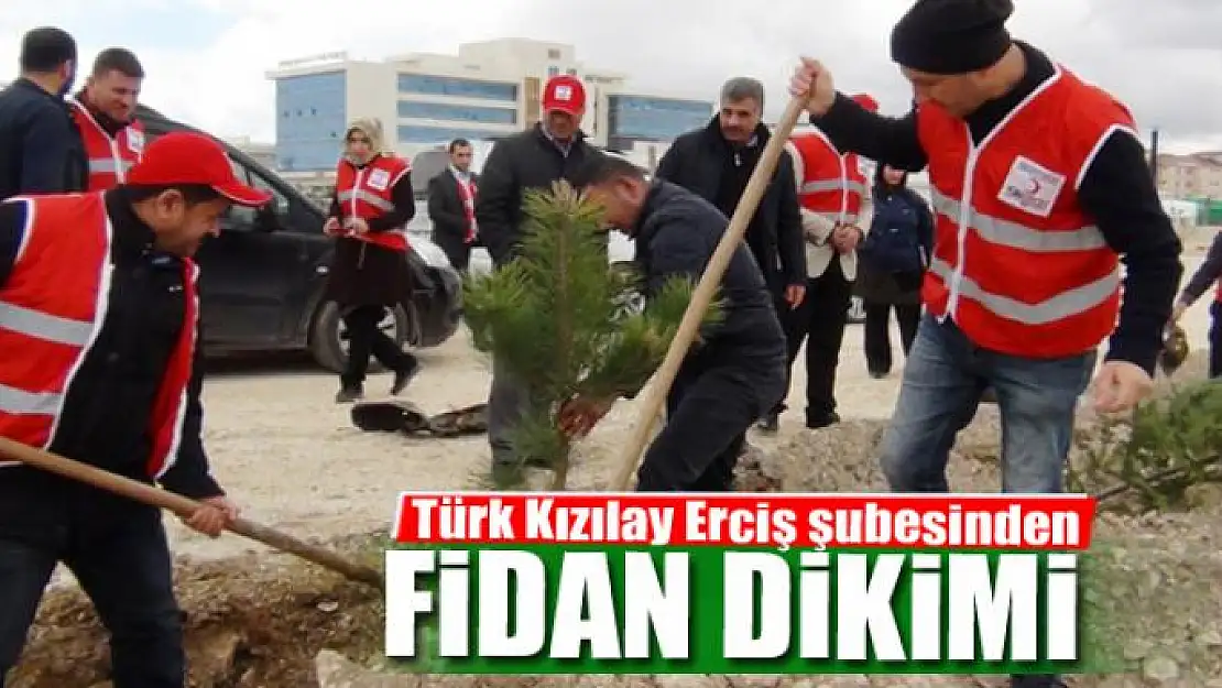 Türk Kızılay Erciş şubesinden fidan dikimi