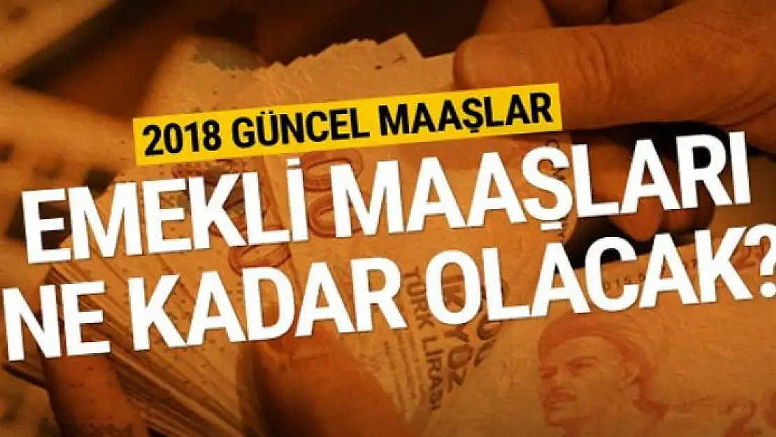 Emekli ocak 2018 yeni maaşlar kim ne kadar zam alacak?