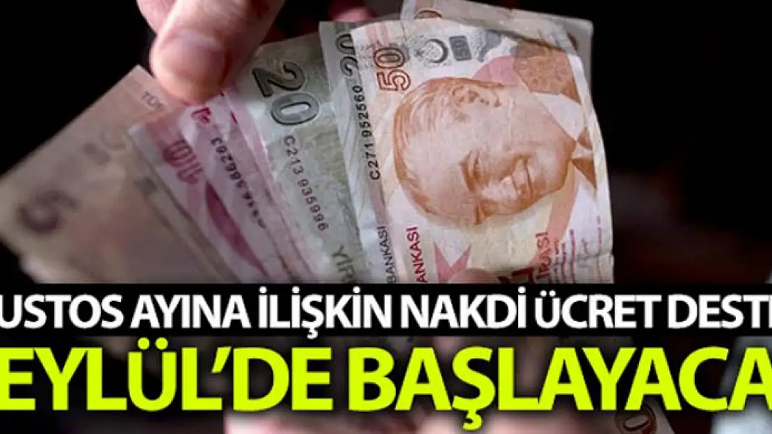 Ağustos ayına ilişkin Nakdi Ücret Desteği ödemeleri 8 Eylül'de başlayacak