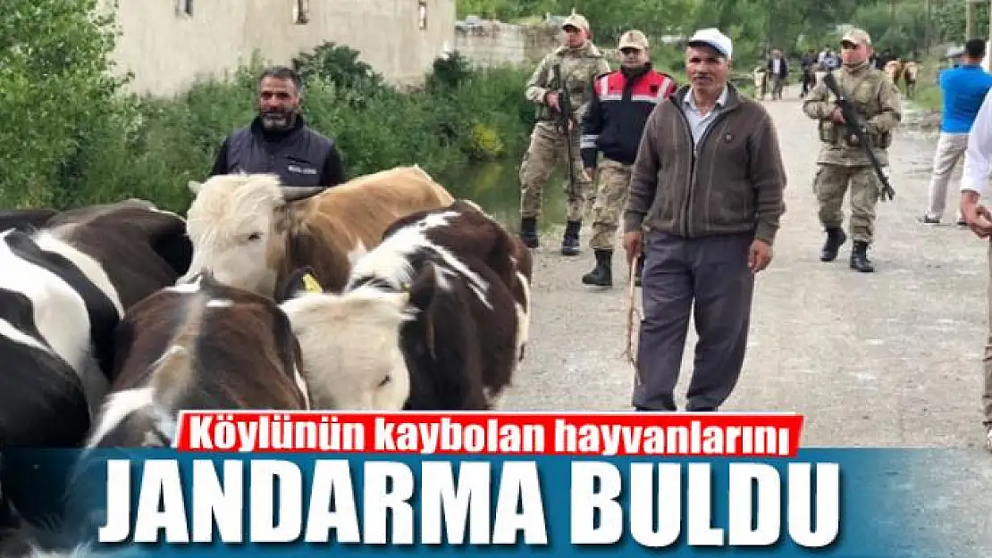 Köylünün kaybolan hayvanlarını jandarma buldu