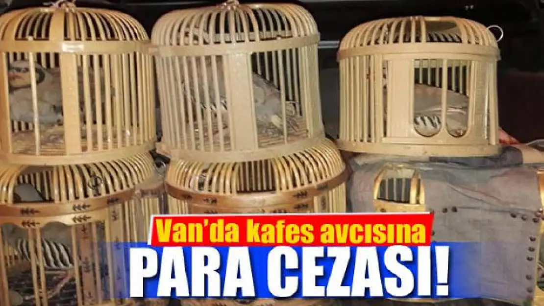 Van'da kafes avcısına ceza 