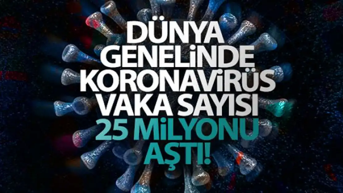 Dünya genelinde korona virüs vaka sayısı 25 milyonu aştı