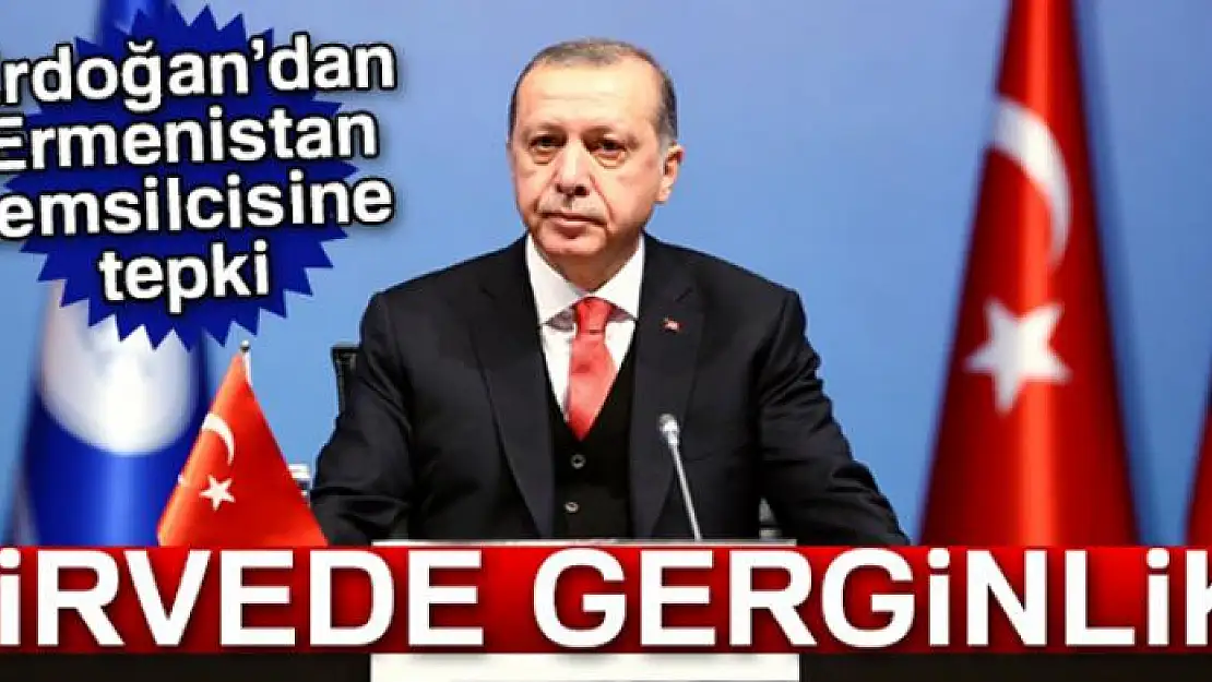 Erdoğan'dan Ermenistan temsilcisine tepki