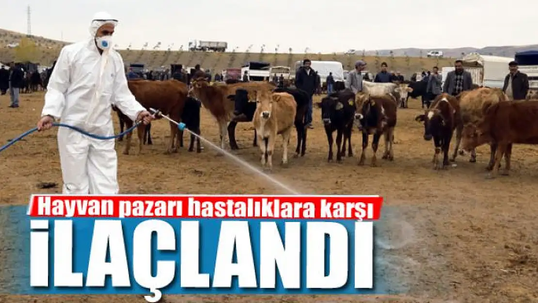 Hayvan pazarı hastalıklara karşı ilaçlandı