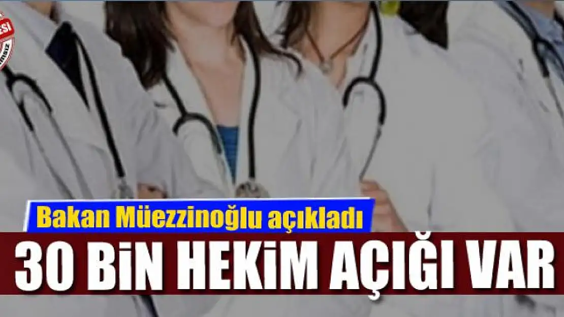 Müezzinoğlu: En az 30 bin hekim açığımız var