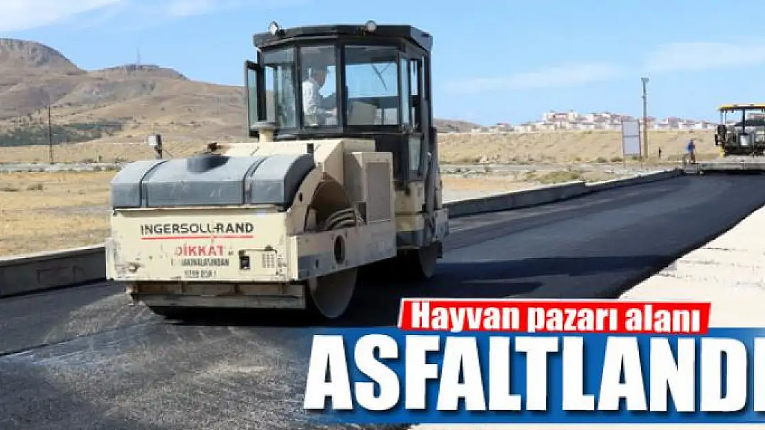 Hayvan pazarı alanı asfaltlandı