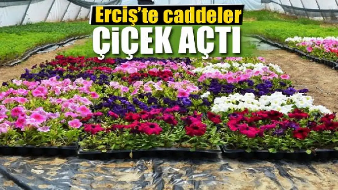 Erciş'te caddeler çiçek açtı