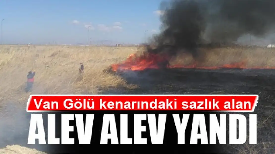 Van Gölü kenarındaki sazlık alan alev alev yandı