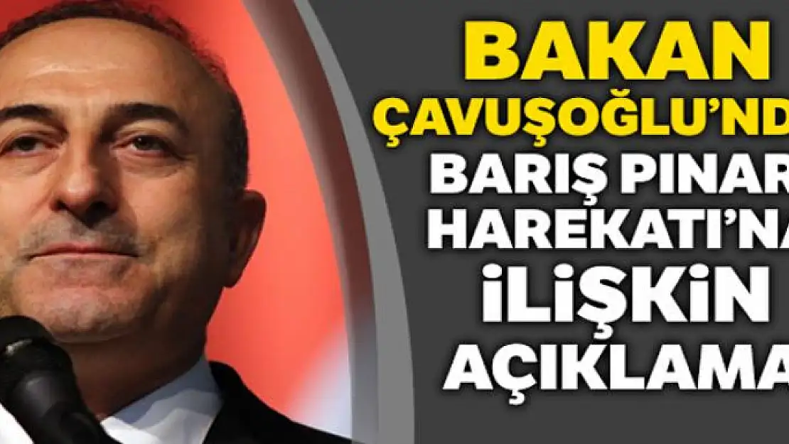 Bakan Çavuşoğlu:'Operasyon Milletler Güvenlik Konseyi'nin terörle mücadeleye ilişkin kararları gereğince icra edilmekte'