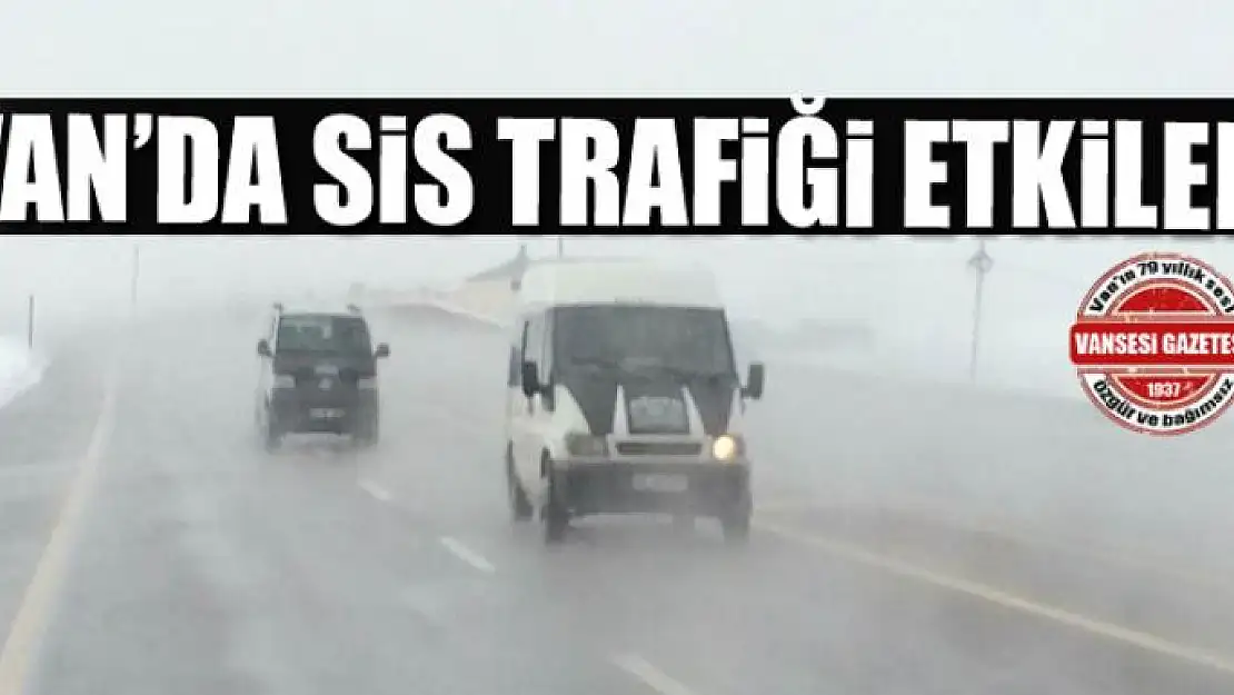 Van'da sis trafiği etkiledi