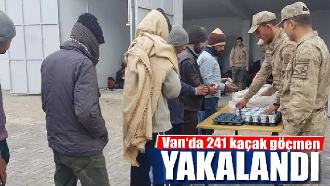 Van'da 241 kaçak göçmen yakalandı 