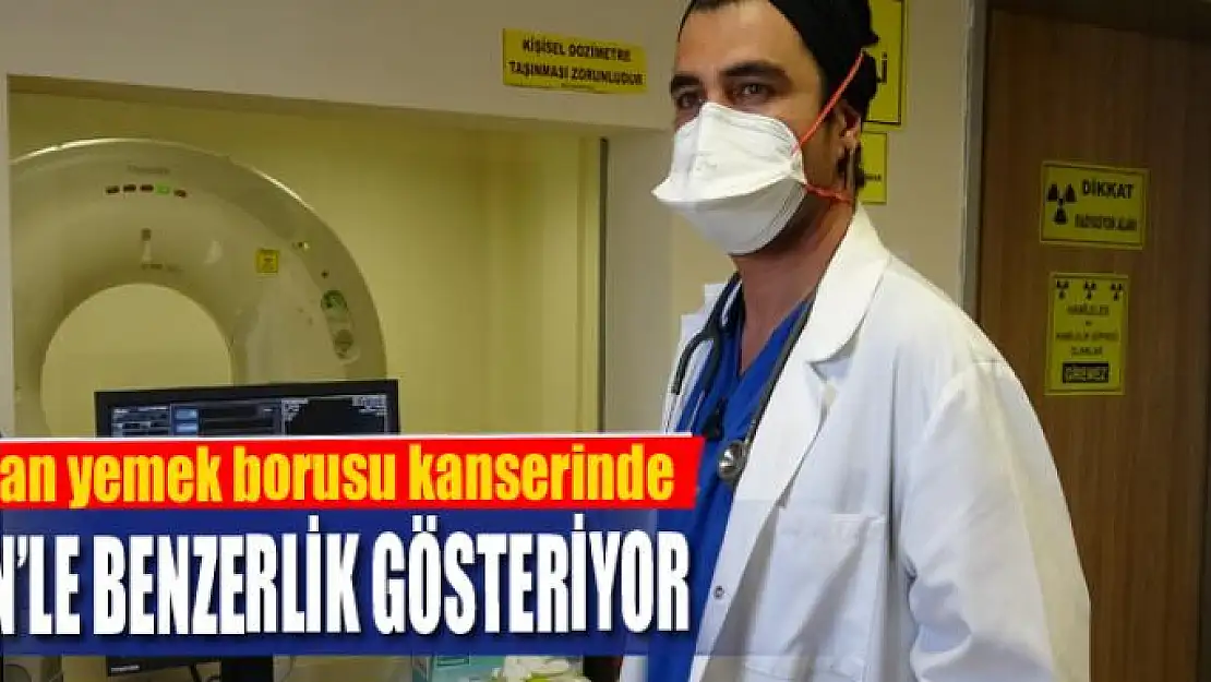 Van yemek borusu kanserinde Çin'le benzerlik gösteriyor