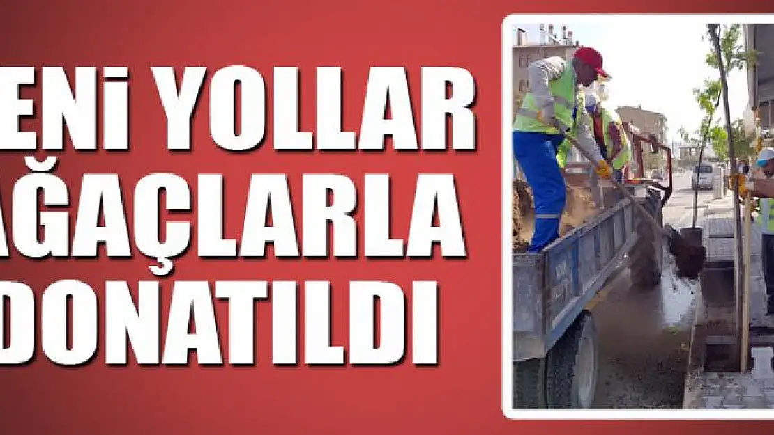 Yeni yollar ağaçlarla donatıldı