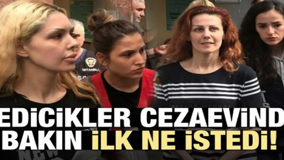 Kedicikler cezaevinde bakın ilk ne istedi