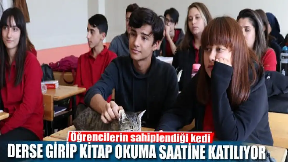 Bu kedi ders dinleyip kitap okuma saatine katılıyor