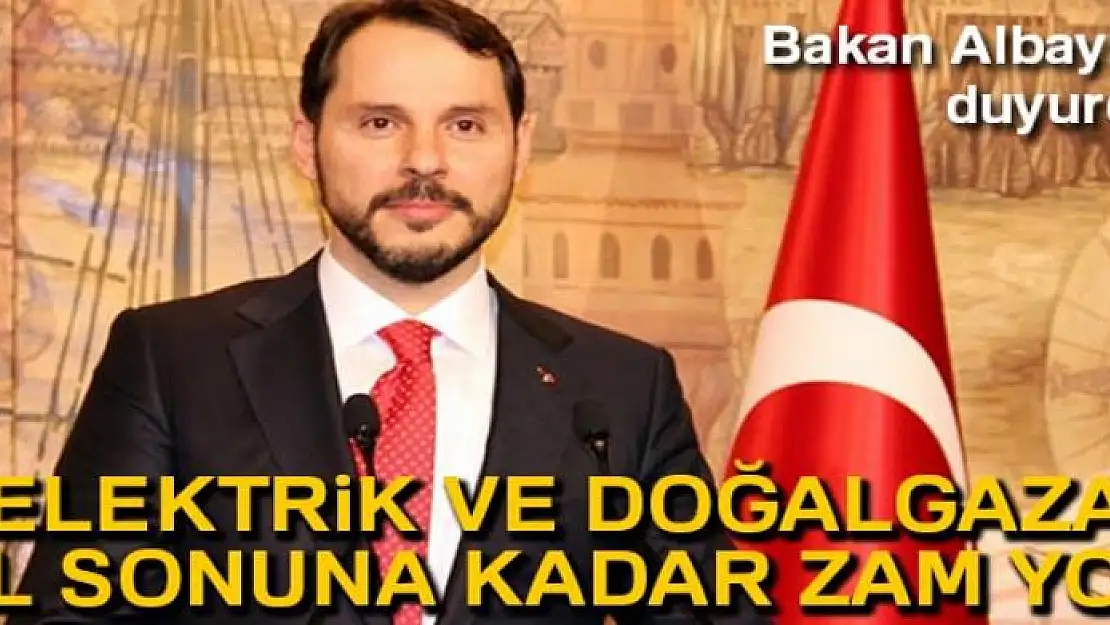 Hazine ve Maliye Bakanı Berat Albayrak: 'Normalleşmenin sağlanacağı sürece giriyoruz'