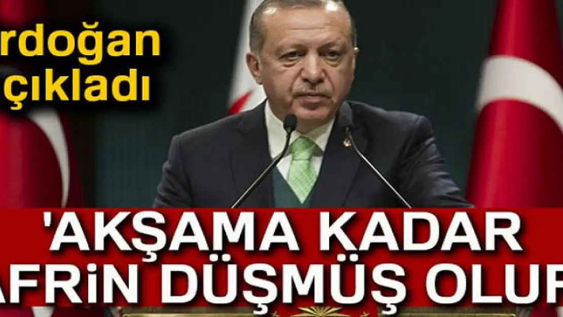 Erdoğan: 'Temenni ederim ki akşama kadar Afrin düşmüş olur'