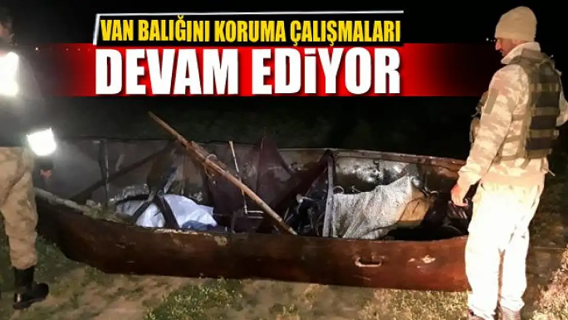 Van balığını koruma çalışmaları sürüyor