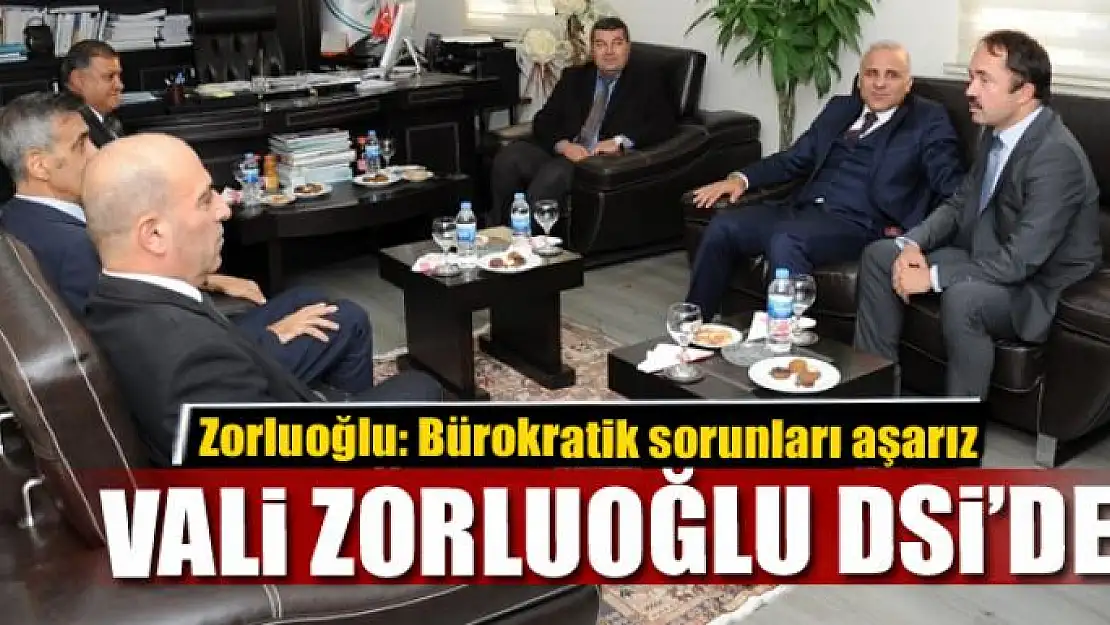 VALİ ZORLUOĞLU DSİ'DE