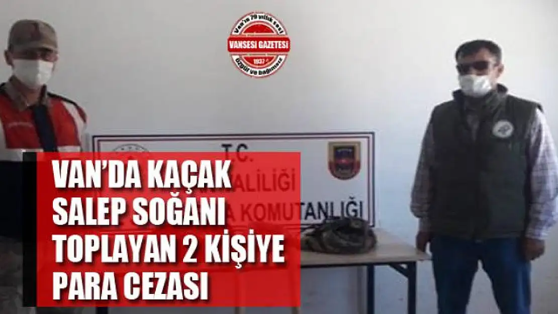 Van'da kaçak salep soğanı toplayan 2 kişiye 147 bin TL ceza kesildi