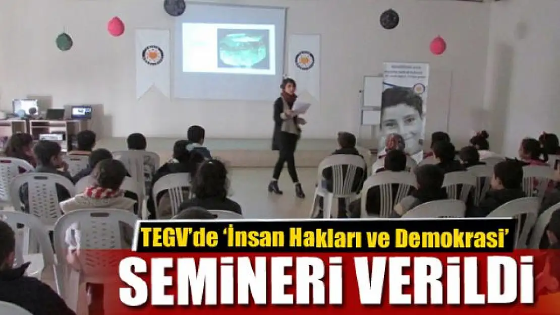 TEGV'de 'İnsan Hakları ve Demokrasi' semineri