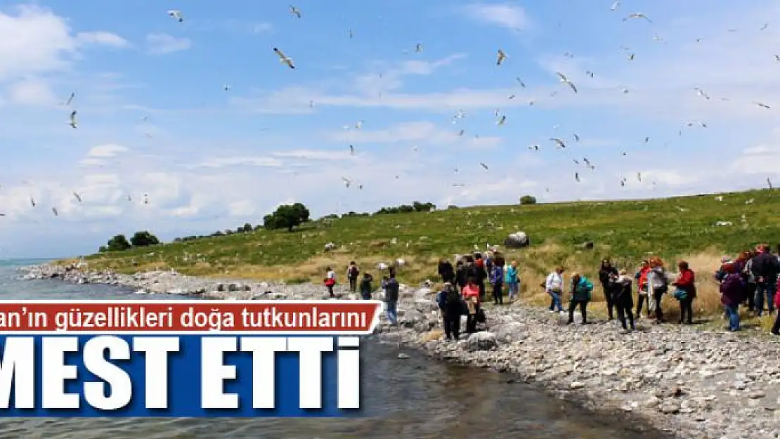 Van'ın güzellikleri doğa tutkunlarını mest etti