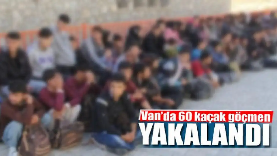 Van'da 60 kaçak göçmen yakalandı