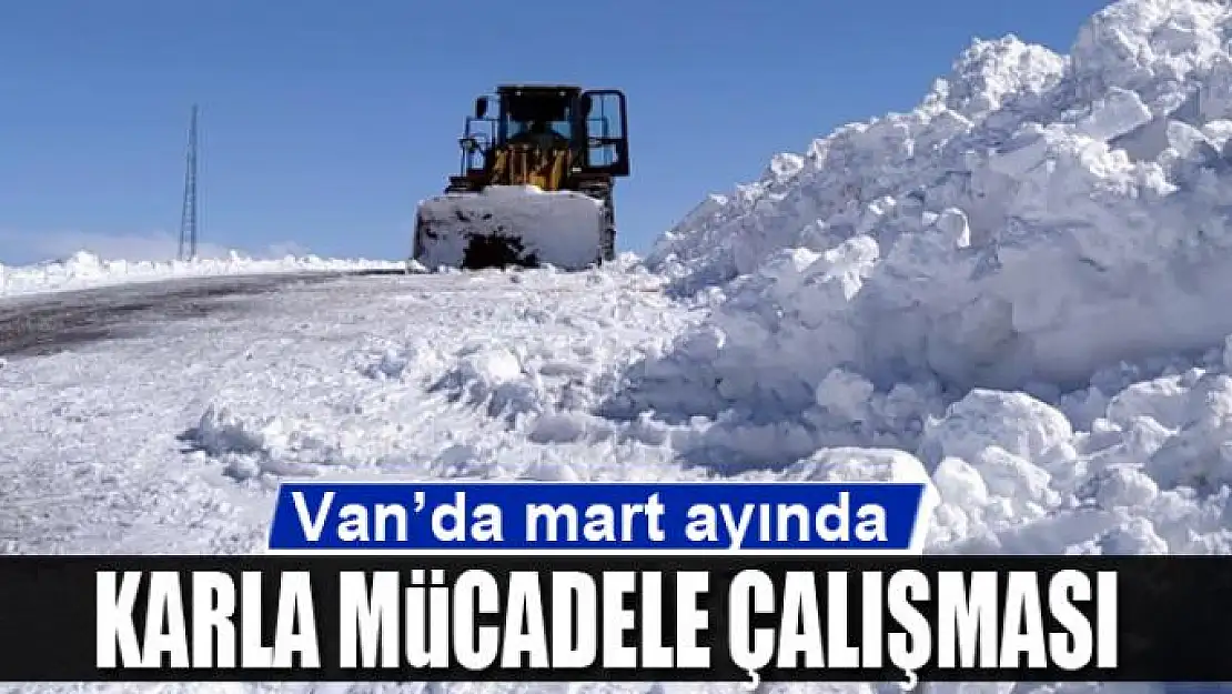 Van'da mart ayında karla mücadele çalışması